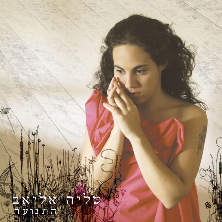 תמונה - התנועה